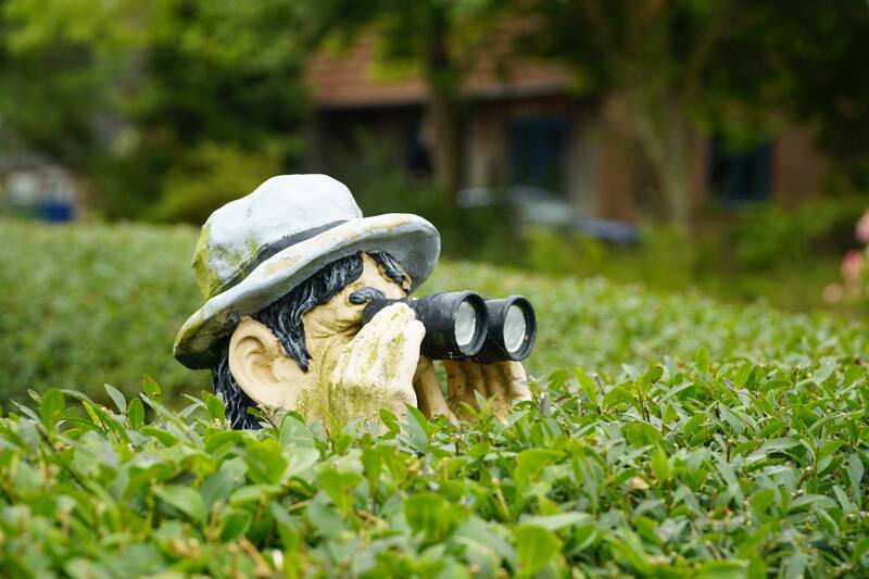 Astrología ¿Tu signo es uno de los más intrusos del Zodiaco? - Créditos: pexels.com