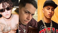 Los artistas urbanos que se movilizaron para ayudar a damnificados por los incendios forestales