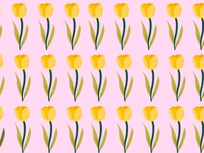 Solo los más rápidos logran encontrar la FLOR diferente en menos de 7 segundos