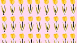 Solo los más rápidos logran encontrar la FLOR diferente en menos de 7 segundos