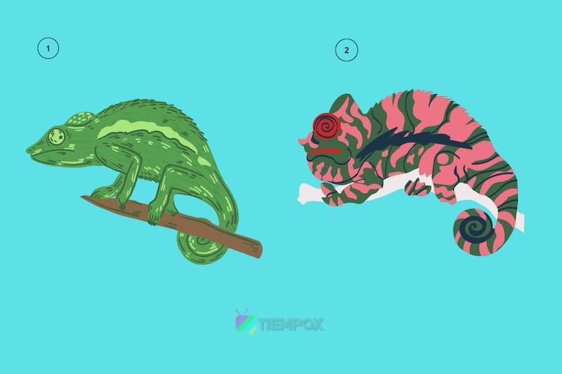 Test de personalidad ¿Qué camaleón prefieres? - Créditos: Tiempox.com