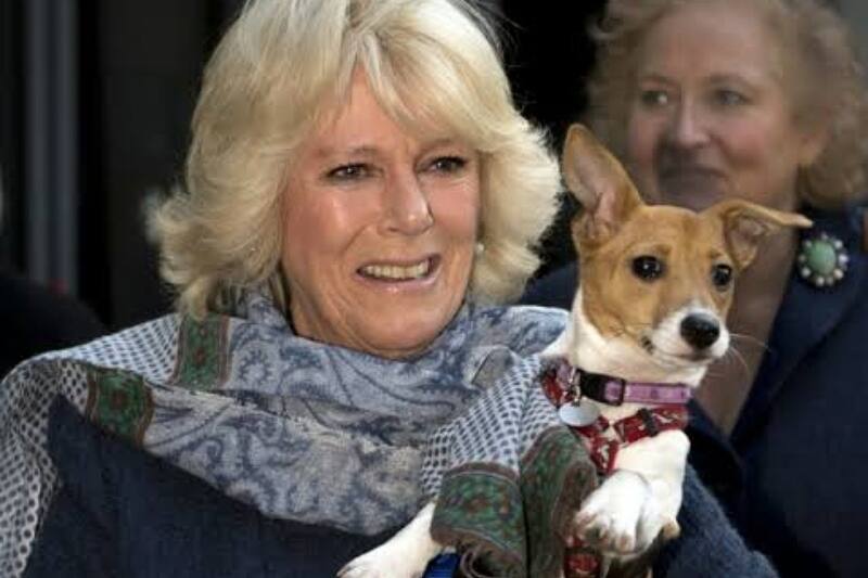 Realeza británica El impactante dato de la reina consorte Camilla - Créditos: