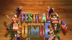 Este es el grupo folclórico que se ganó 8 millones de pesos y el primer lugar del Festival del Huaso de Olmué