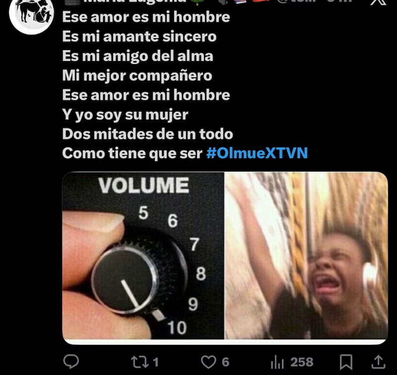 La cantante encantó en el Patagual.