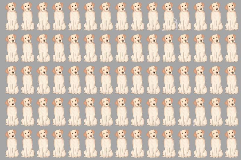 ¿Eres capaz de encontrar a los 3 gatos escondidos?