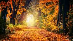 ¡Empieza el otoño! ¿Qué significado esotérico tiene esta estación del año?