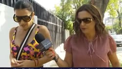 “¿Qué se puede esperar de un burro?”: el duro mensaje que Yamila Reyna le envió a Américo y que reveló Primer Plano