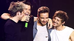 One Direction: se cumplen siete años de su último concierto