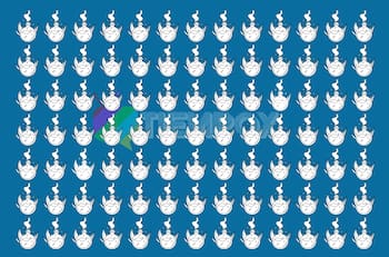 Test Visual: ¡Encuentra las dos pócimas distintas en este acertijo!