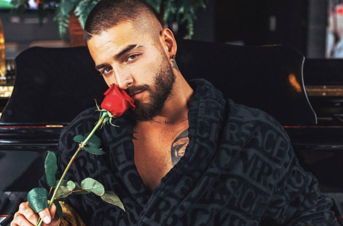 Una propuesta maravillosa: El amor se robó el show en pleno concierto de Maluma