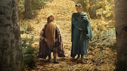 Se revela el tráiler final de “El Señor de los Anillos: Los Anillos de Poder”