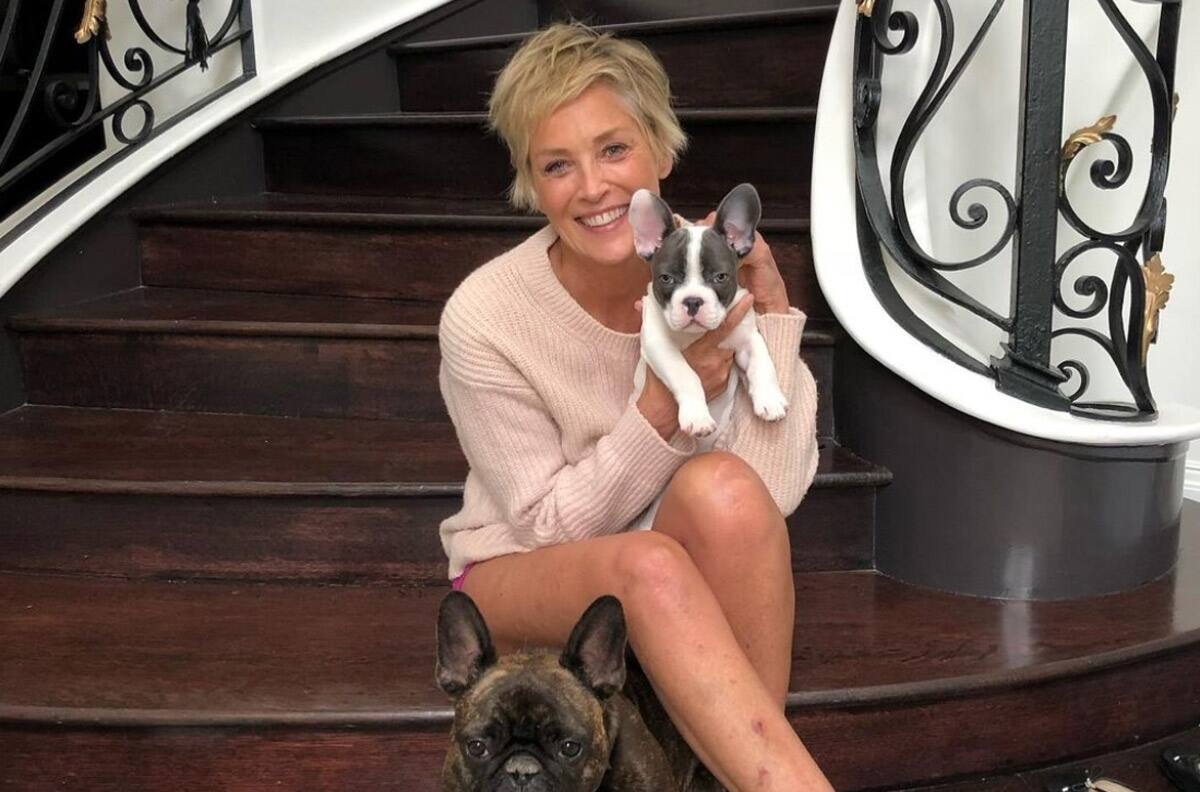 Sharon Stone revela que tuvo un novio menor que la dejó por negarse a las inyecciones de bótox