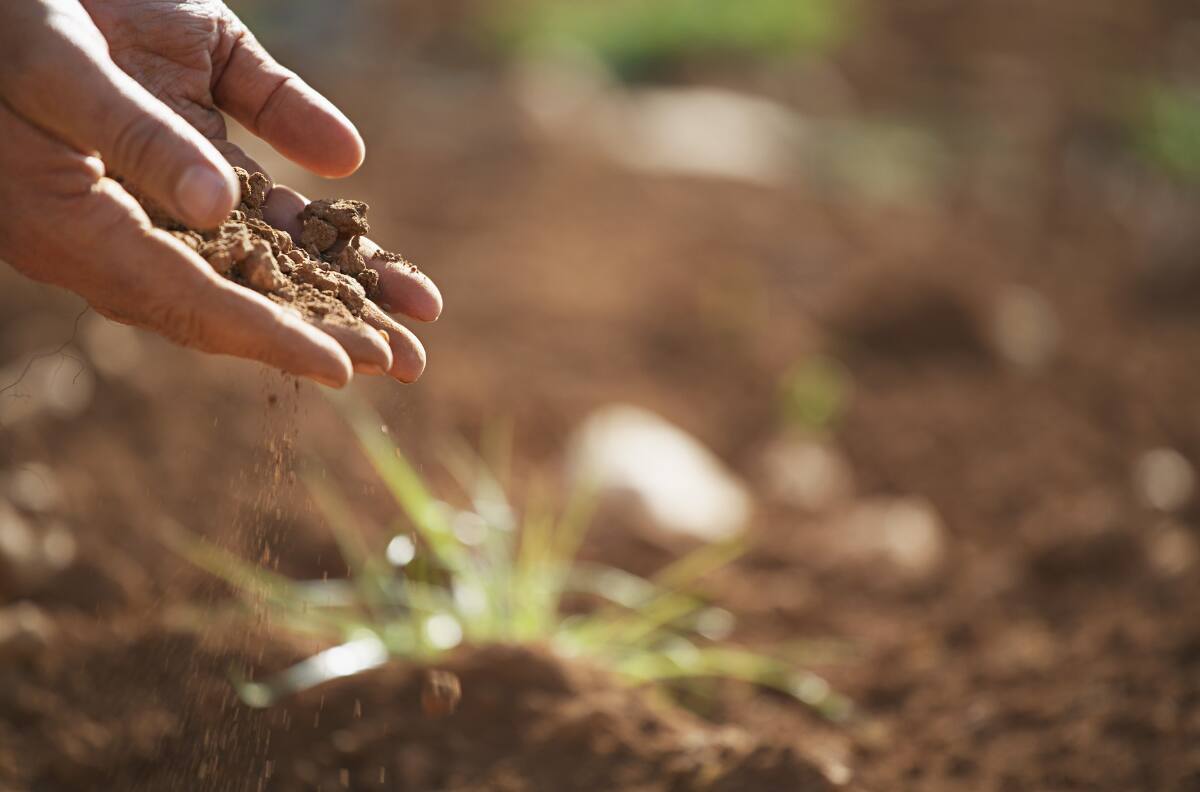 Descubre cuál es la principal palabra que define las características de los signos de tierra