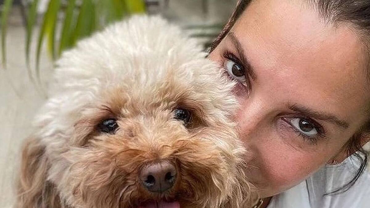 Sandra Bullock revela cuál es la única película que se arrepiente de haber hecho