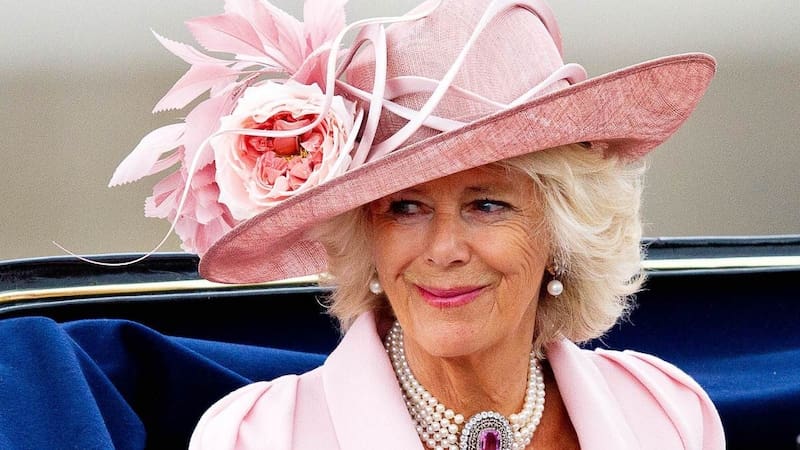 La reina lució una hermosa túnica azul nueva y pantalones para el Animal Ball. - Créditos: Instagram