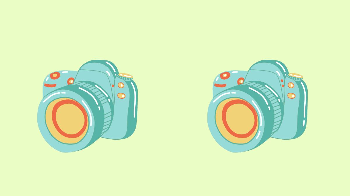 cámaras fotográficas.