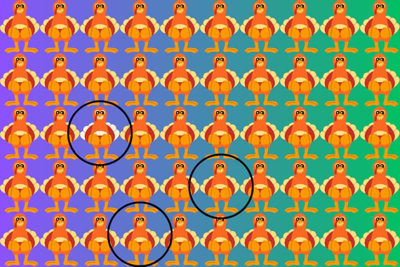 Estos son los tres pavos diferentes en este test visual.