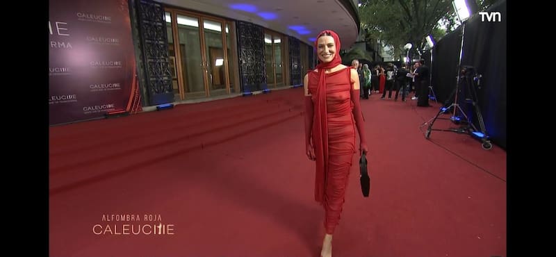 Francisca Gavilán optó por un osado look para los Premios Caleuche 2024.