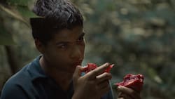 Festival de Cannes: cinta colombiana "La jauría" gana Premio Especial de la Semana de la Crítica
