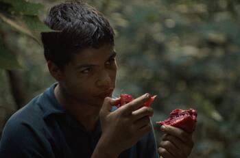 Festival de Cannes: cinta colombiana "La jauría" gana Premio Especial de la Semana de la Crítica