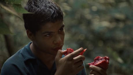 Festival de Cannes: cinta colombiana "La jauría" gana Premio Especial de la Semana de la Crítica