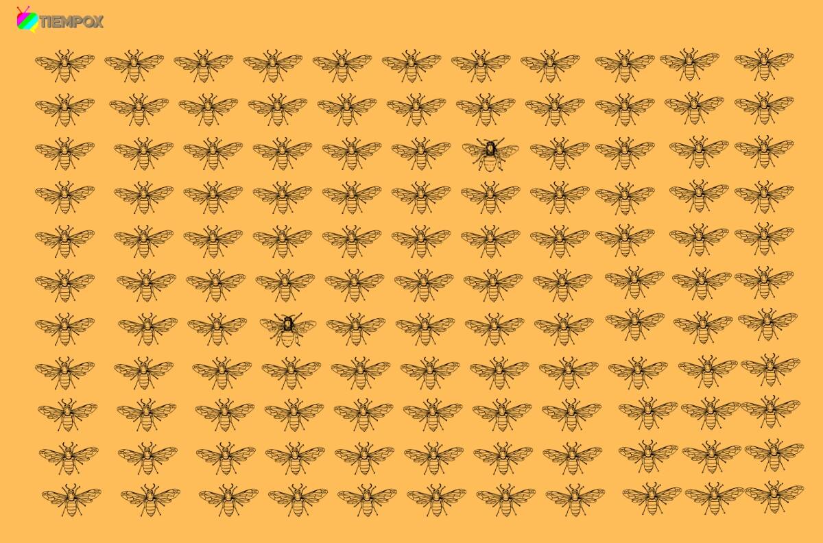 Test Visual: ¿Serás capaz de encontrar a los dos insectos diferente en la imagen?