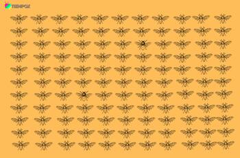 Test Visual: ¿Serás capaz de encontrar a los dos insectos diferente en la imagen?