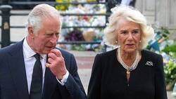 Camilla Parker escupió su té cuando el príncipe Harry sugirió un mediador para arreglar diferencias con la familia real