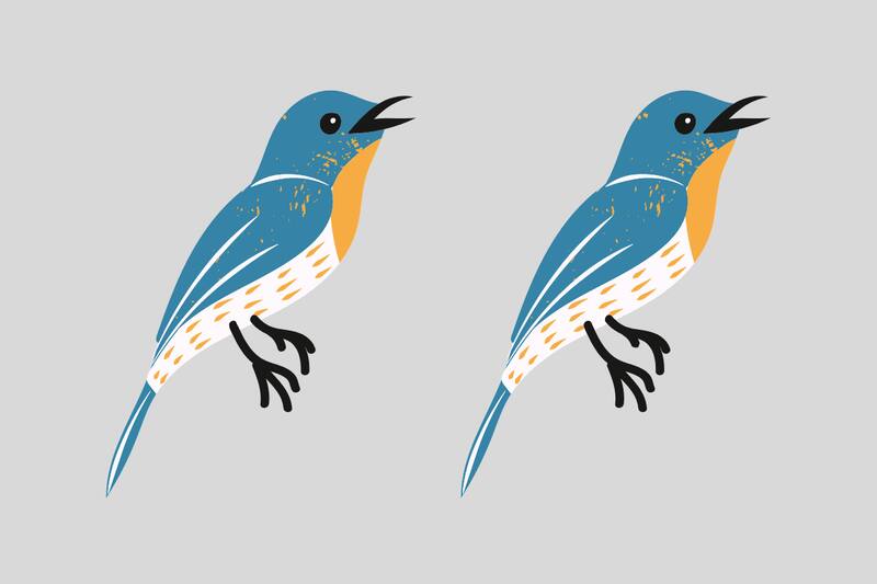 ¿Cuáles son las diferencias entre ambos?