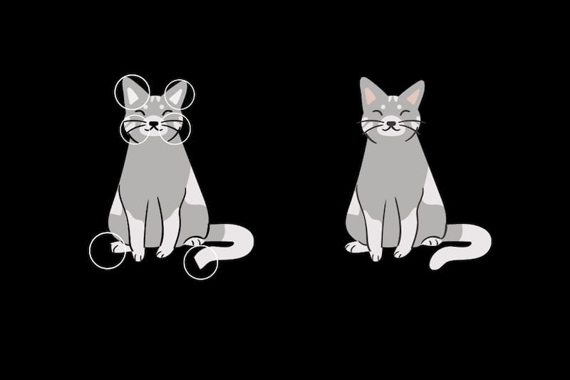 Estas son las 6 diferencias.