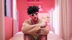 Así es el nuevo terreno de Bad Bunny que le compró a Ariana Grande