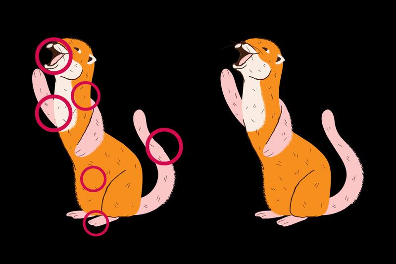 ¡Aquí estaban las diferencias!