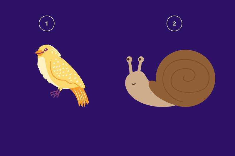 ¿Pájaro o caracol? Elige una opción y descubre si eres alguien consecuente.