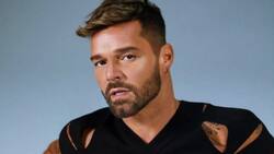 Ricky Martin: este es el cariñoso apodo con el que se refieren al cantante en casa