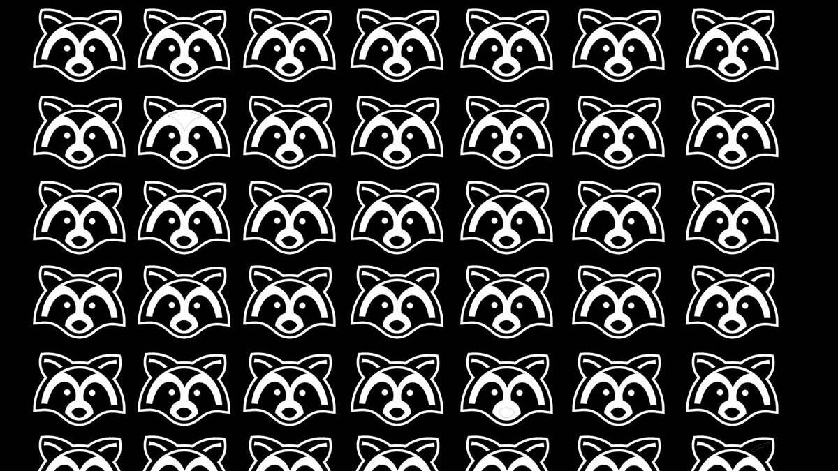 Acertijo visual:Encuentra a los mapaches diferentes mapaches en solo 15 segundos