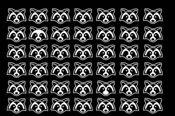 Acertijo visual:Encuentra a los mapaches diferentes mapaches en solo 15 segundos