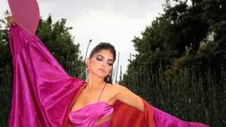 VIDEO: Ana Bárbara se queda sin falda en pleno concierto