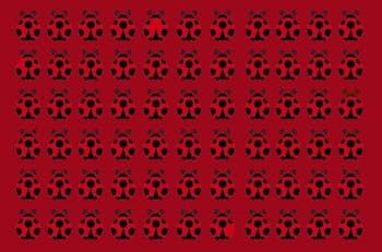 Acertijo visual: Encuentra las catarinas diferentes ¡son cuatro!