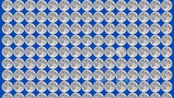 Test Visual: ¿Puedes encontrar al planeta Tierra infiltrado entre las lunas?