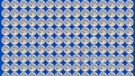 Test Visual: ¿Puedes encontrar al planeta Tierra infiltrado entre las lunas?