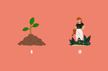 Test de Personalidad: ¿Autocuidado? Elige una opción y descubre cómo es tu relación con él