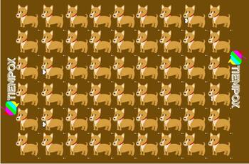 Test visual: encuentra a los 4 perros diferentes en menos de 15 segundos