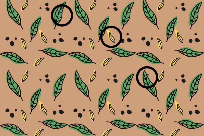 Acá se encontraban los tres loros ocultos.