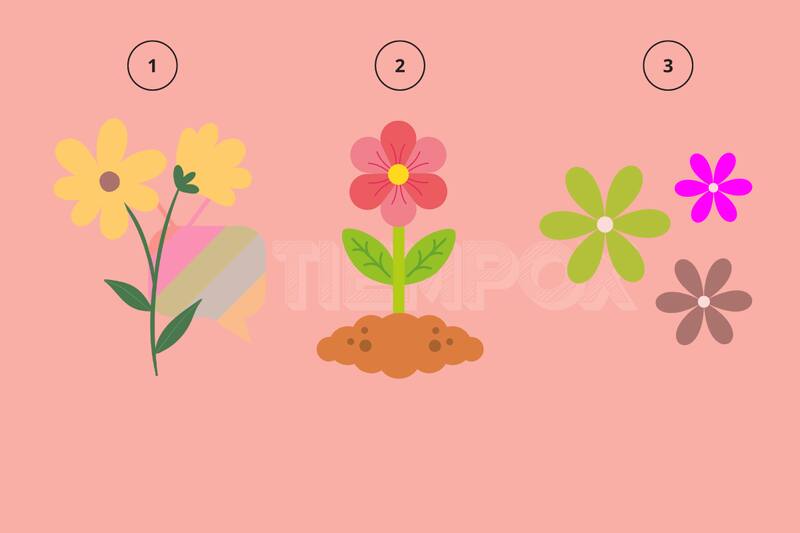 Test de Personalidad ¿Eres una persona que se compara a sí misma o a las demás personas? - Créditos: tiempox.com