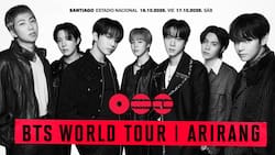 ¿Llevarás a tus hijos? Precios y fecha de la venta de entradas para BTS en Chile