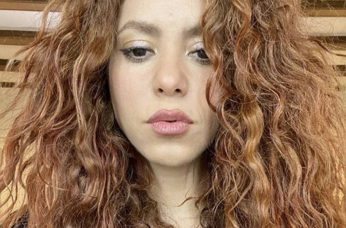 Shakira: conoce de dónde proviene la fortuna de la cantante