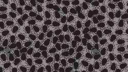 Acertijo visual: ¿Puedes ver las 4 moscas en la imagen?