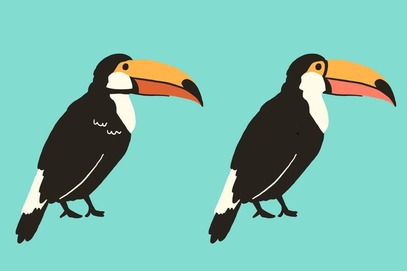 Encuentra las diferencias entre los tucanes.