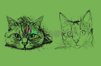Test de Personalidad: ¿Eres una persona hostil con tus hermanos? Elige un gato y descúbrelo