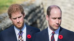 Príncipe Harry y príncipe William podrían reconciliarse gracias a este miembro de la familia real